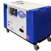 Дизельный сварочный генератор в кожухе TSS DGW-300ES Дизельный сварочный генератор в кожухе TSS DGW-300ES