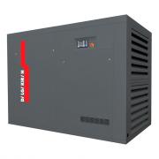 Безмасляный винтовой компрессор DALGAKIRAN Eagle‑HW 55 ID ‑ 9.3 бар