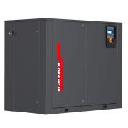 Винтовой компрессор DALGAKIRAN INVERSYS DPR 30 ‑ 10 бар